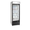 TEFCOLD NF 2500 G
