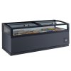 TEFCOLD VIEW 250 CF VS